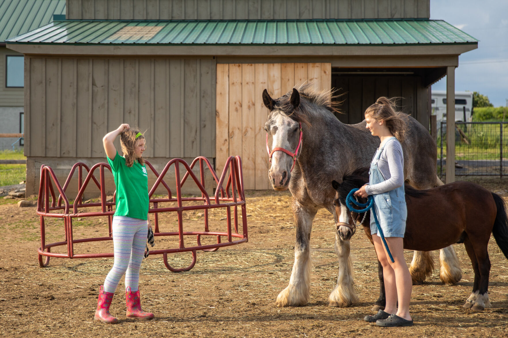 A haven at Hyder Rock Lewis County farm gives new life to horses, other unhomed animals